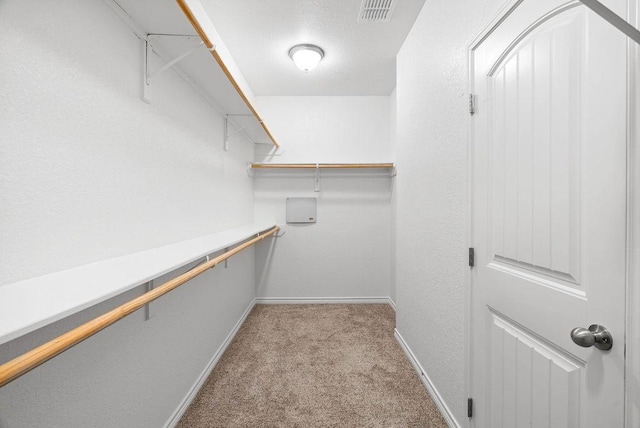 2530 Las Estrellas St, Corpus Christi, TX 78414 - walk in closet with carpet