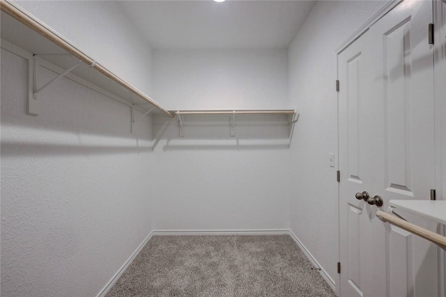 2425 Thankful, Corpus Christi, TX 78418