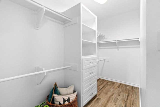 5810 Bella Di Giorno Dr, Corpus Christi, TX 78414 - walk in closet with wood finished floors