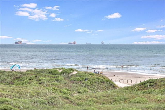 water view featuring a beach view