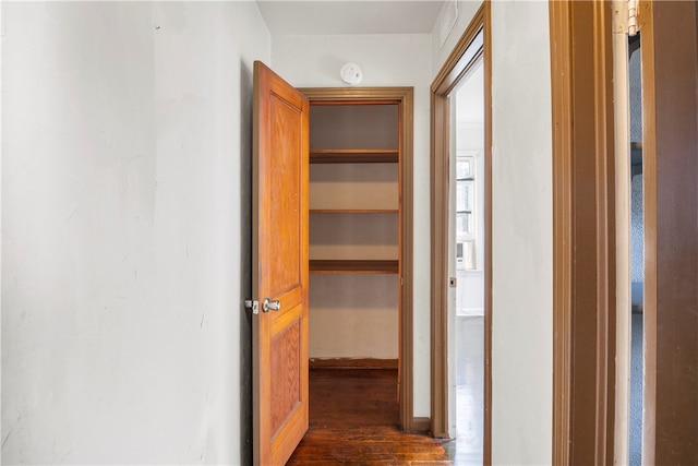 hallway featuring dark wood-type flooring