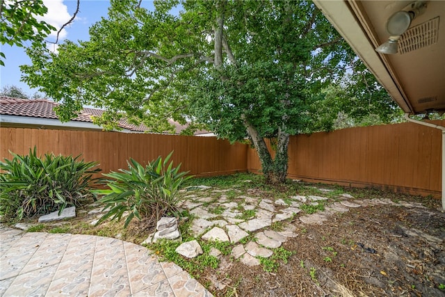 view of yard featuring a patio area