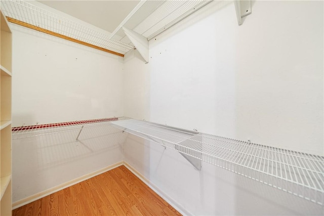 spacious closet featuring light wood-style flooring