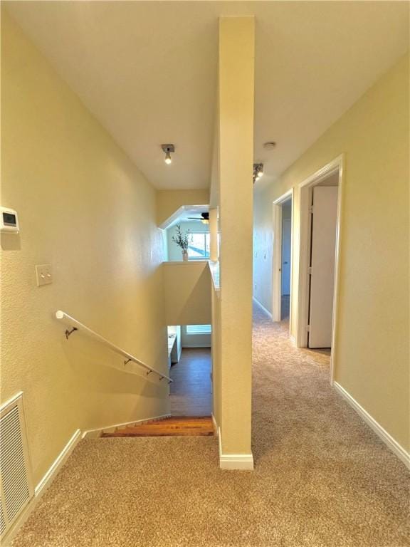 2113 Encino Dr, Corpus Christi, TX 78414 - photo 14