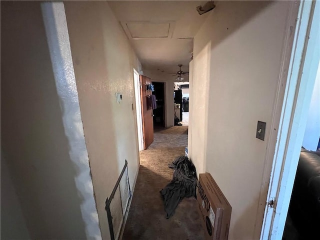 3751 Wilson Dr, Corpus Christi, TX 78408 - hall with carpet flooring and attic access