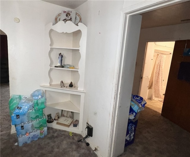 3751 Wilson Dr, Corpus Christi, TX 78408 - detailed view of carpet