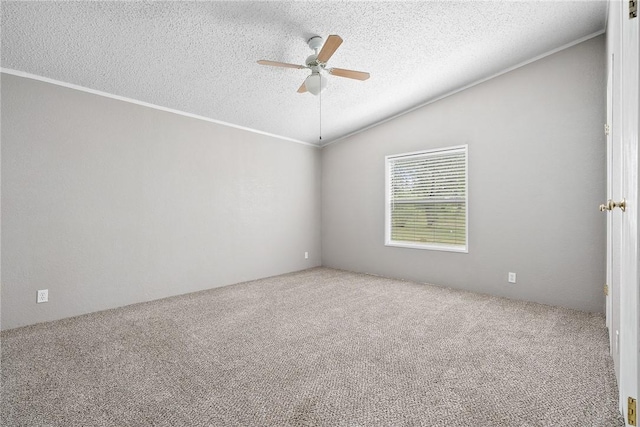 5768 Mockingbird Ln, Mathis, TX 78368 - photo 28
