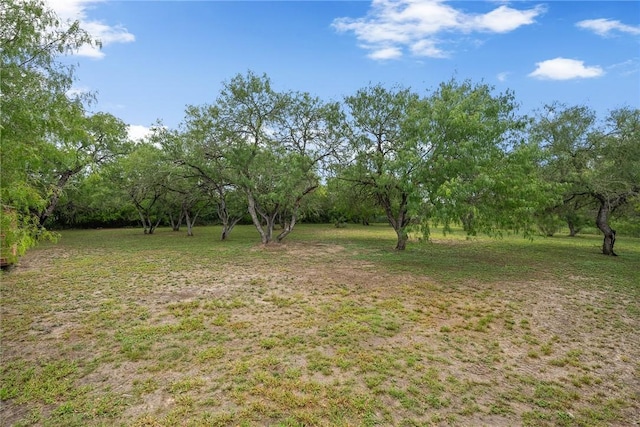 5768 Mockingbird Ln, Mathis, TX 78368 - photo 34