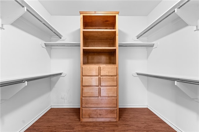 spacious closet with dark hardwood / wood-style flooring