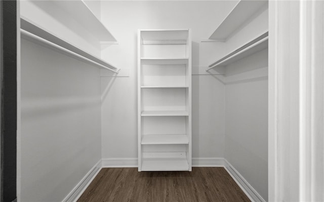 walk in closet featuring dark hardwood / wood-style flooring