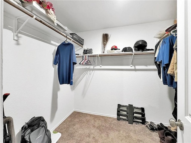 walk in closet featuring carpet flooring