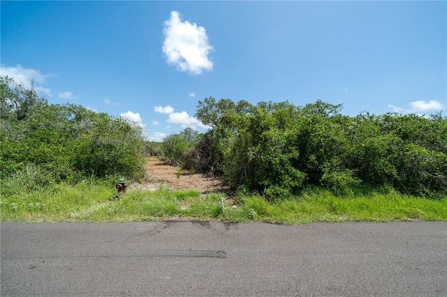 0 W Beasley Ave, Aransas Pass TX, 78336 land for sale