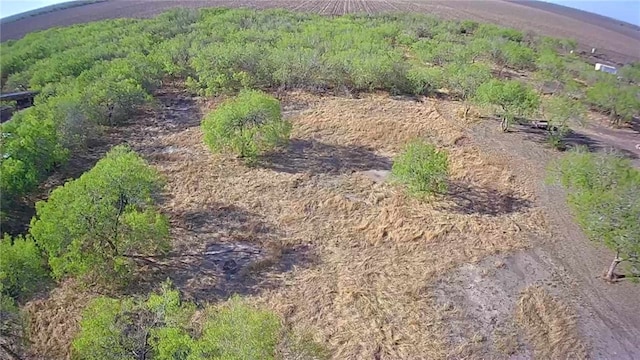 5091 Al Theis St, Bishop, TX 78343 - photo 3