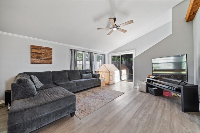 living room featuring ceiling fan, light wood-type flooring, lofted ceiling, and ornamental molding