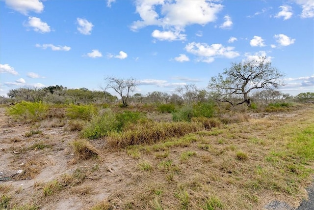 000 Quail Ridge Run, Three Rivers, TX 78071 - photo 2