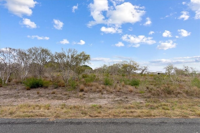 000 Quail Ridge Run, Three Rivers, TX 78071 - photo 4