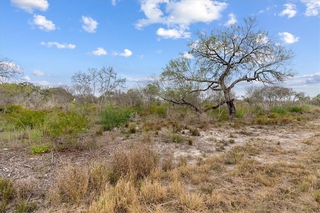 000 Quail Ridge Run, Three Rivers, TX 78071 - photo 3