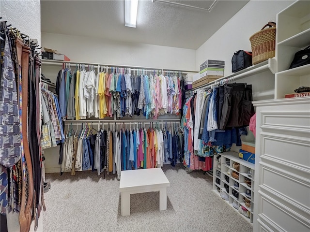 spacious closet with carpet floors