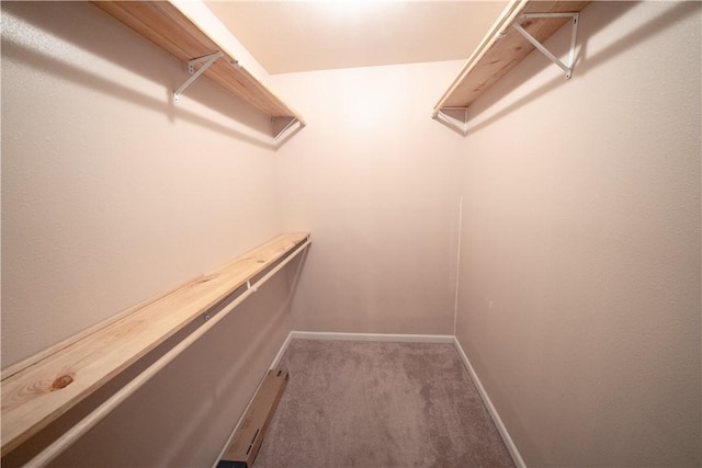 2033 Briarwood Dr, Corpus Christi, TX 78412 - spacious closet with carpet floors