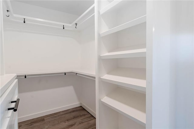 walk in closet featuring wood finished floors