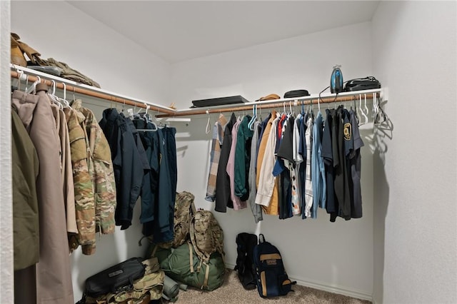 walk in closet with carpet