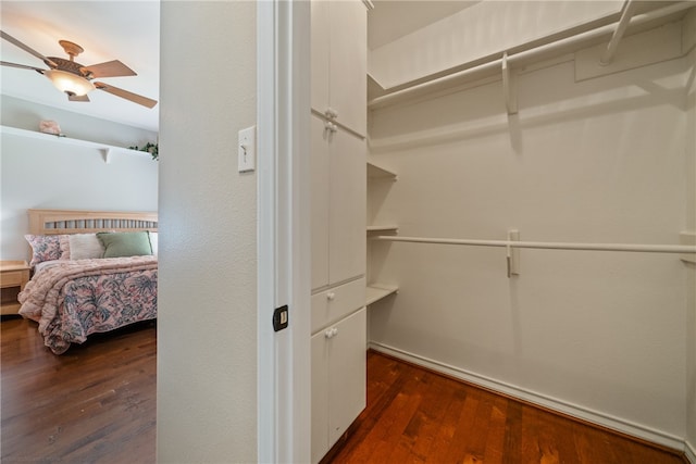 spacious closet featuring ceiling fan and dark hardwood / wood-style flooring