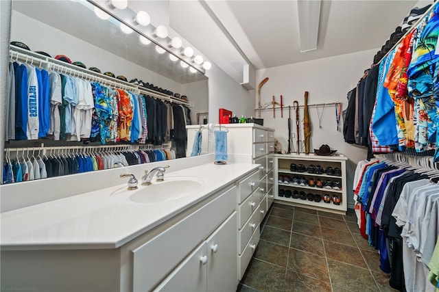 spacious closet featuring sink