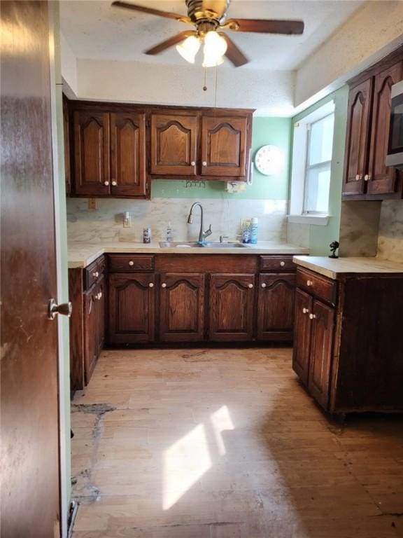 kitchen featuring dark brown cabinetry, light hardwood / wood-style floors, ceiling fan, and sink