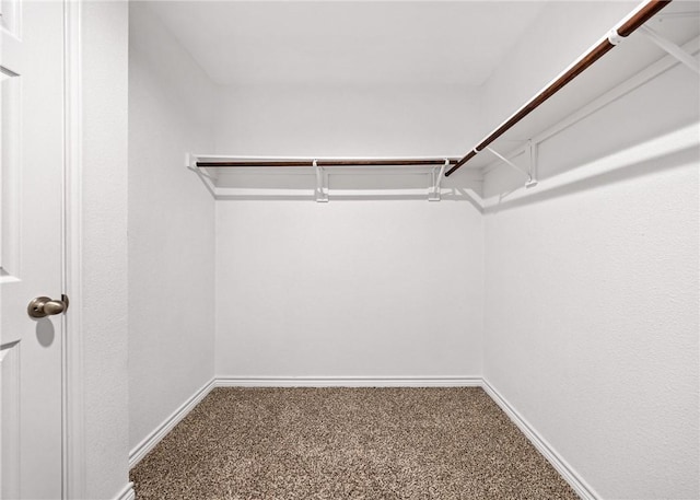 3901 Jayden Dr, Corpus Christi, TX 78410 - spacious closet with carpet floors