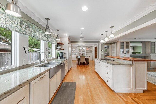 kitchen featuring a sink, appliances with stainless steel finishes, light wood-type flooring, healthy amount of natural light, and ornamental molding