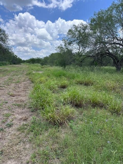 0332 Sunny Vale, Mathis, TX 78368 - photo 3