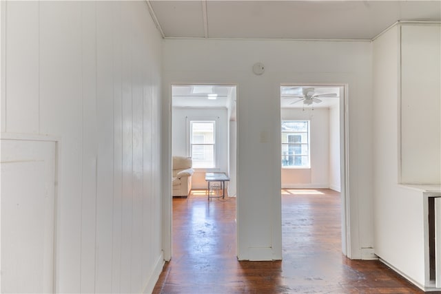 corridor featuring wood walls and dark hardwood / wood-style floors