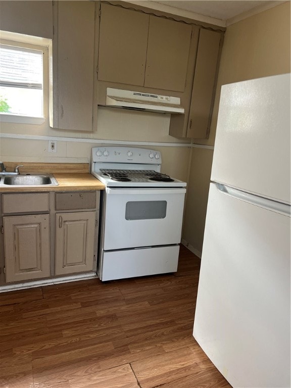 kitchen featuring white appliances, light hardwood / wood-style flooring, and sink