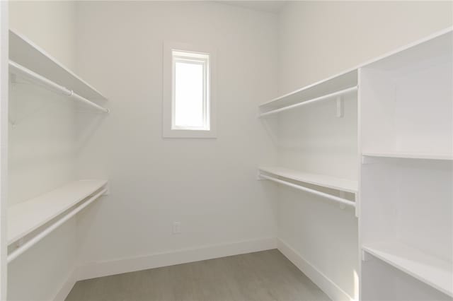 walk in closet with light wood-type flooring