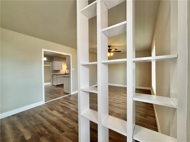 interior space featuring multiple closets, dark wood-style flooring, a sink, and baseboards