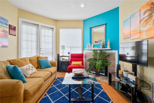 living room with hardwood / wood-style floors