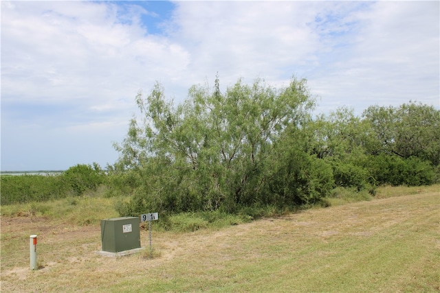 Listing photo 3 for 0 Vista Fina Dr, Sandia TX 78383