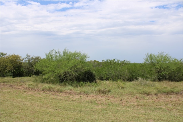 Listing photo 2 for 0 Vista Fina Dr, Sandia TX 78383