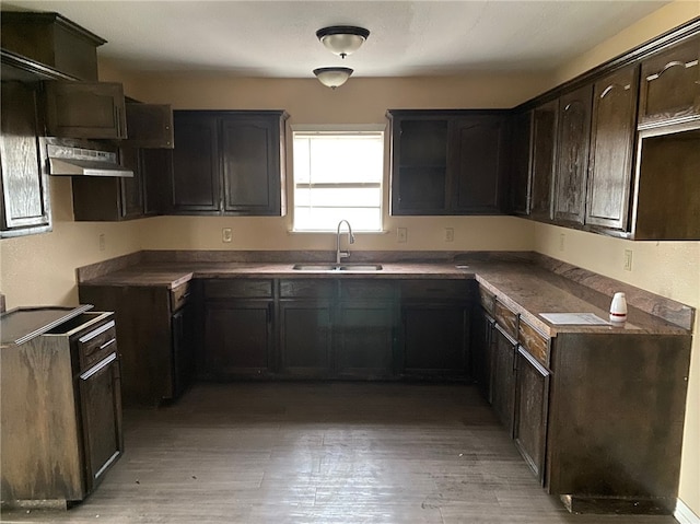 kitchen featuring hardwood / wood-style floors, sink, and dark brown cabinets