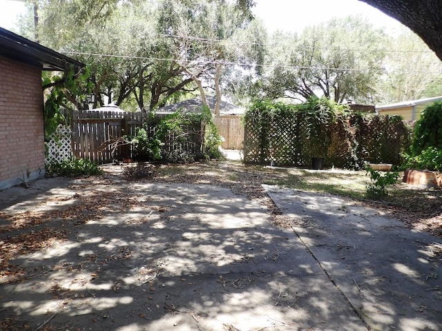 view of yard with a patio area