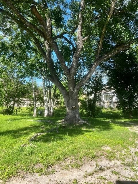 502 S Stephenson St, Beeville, TX 78102 - view of yard