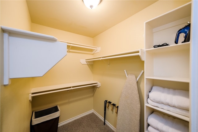 spacious closet featuring carpet flooring