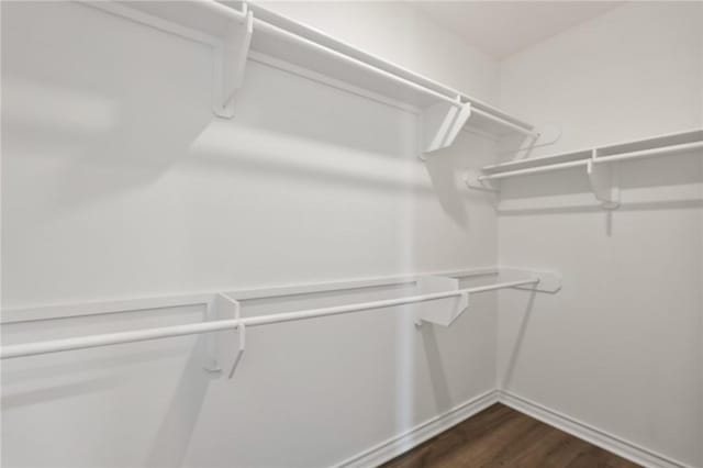 walk in closet featuring dark wood-type flooring