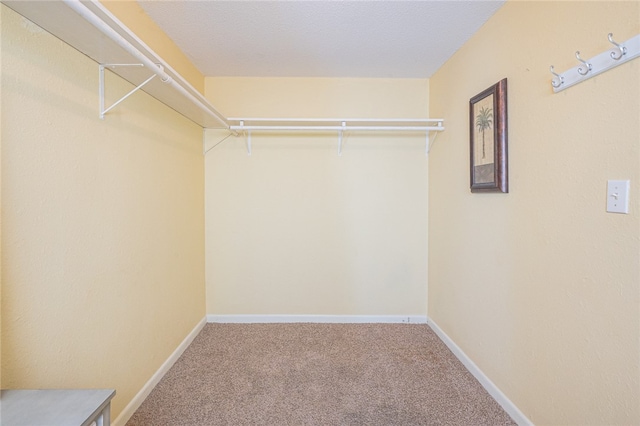 walk in closet featuring carpet floors