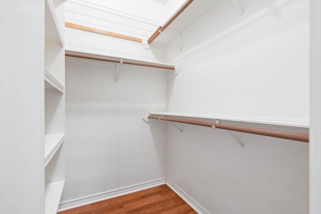 spacious closet featuring wood finished floors