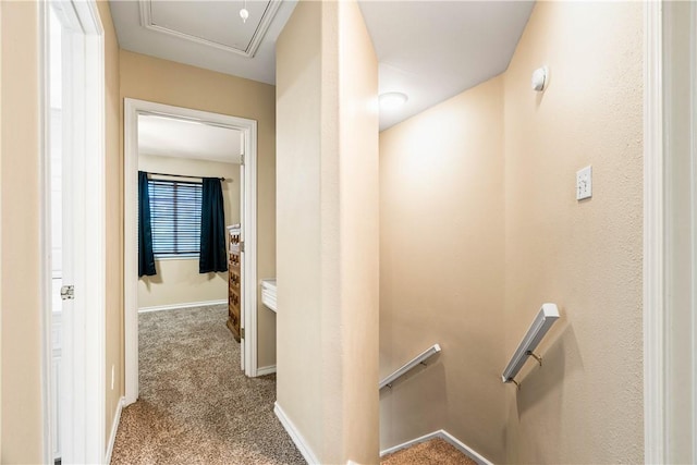 3837 Brockhampton Ct, Corpus Christi, TX 78414 - hall with an upstairs landing and carpet