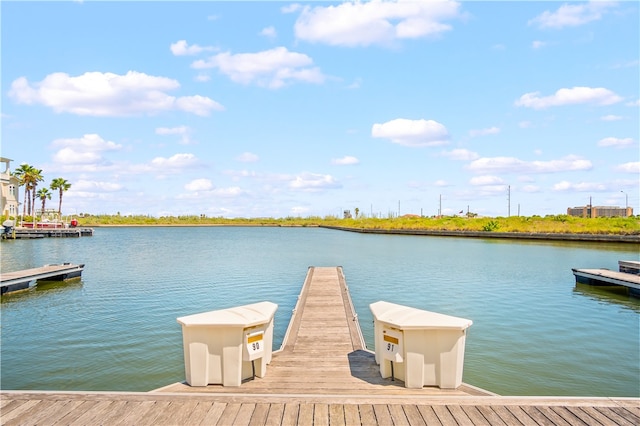 dock area with a water view