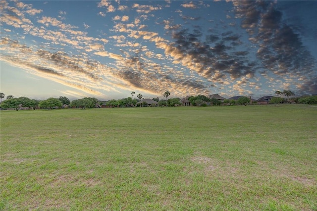 46 E Bar Le Doc Dr, Corpus Christi, TX 78414 - view of grassy yard
