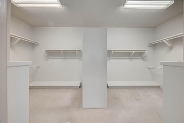 46 E Bar Le Doc Dr, Corpus Christi, TX 78414 - spacious closet with carpet flooring