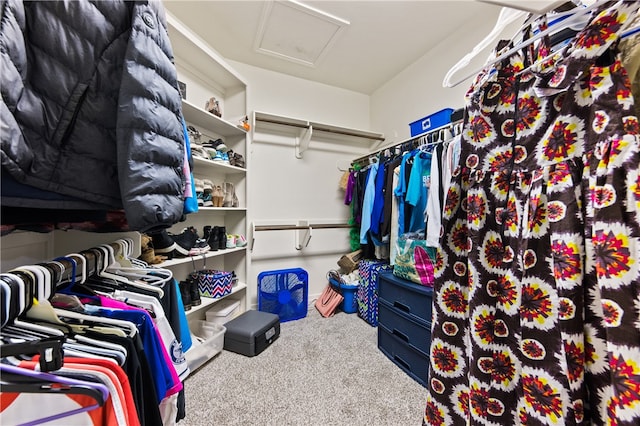 walk in closet featuring carpet floors